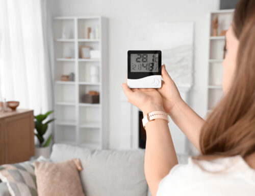 DIY Home Air Quality Test: How to Check if Your Home Needs a HYLA