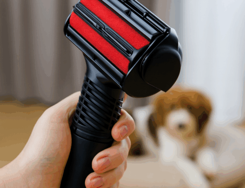 Your Pet Owner Guide: Keeping Your Home Fresh, Fur, and Allergen-Free